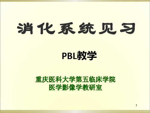医学影像学——读片系列(消化系统实习(PBL教学2014年上半年)(学生版))