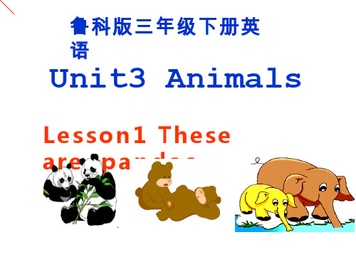 小学英语《Unit3 Animals》优质教学课件