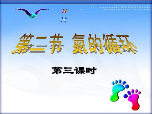 高一化学必修一氮的循环(3)