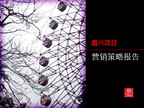 世联_嘉兴中心区综合体项目营销策略报告_63