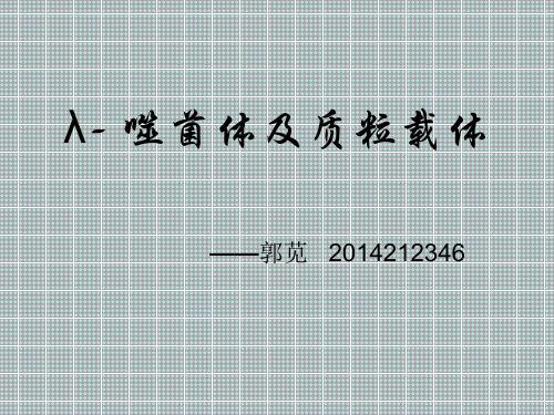 入噬菌体及质粒载体