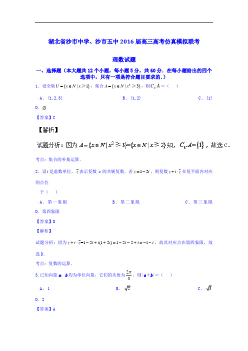 湖北省沙市中学、沙市五中2016年高考仿真模拟联考理数试题 Word版含解析