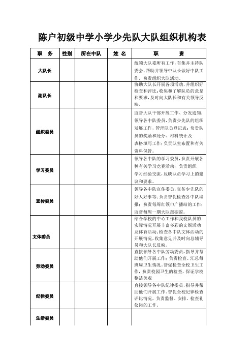 小学少先队组织机构
