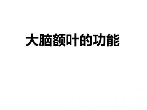 大脑额叶的功能说课材料
