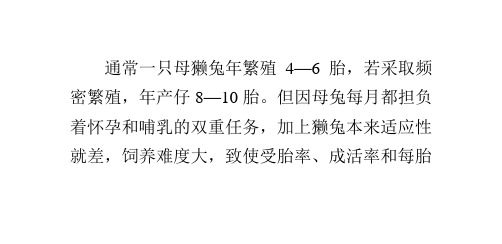 巧用“保姆兔”提高獭兔繁殖力