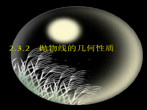 2.3.2 抛物线的简单几何性质