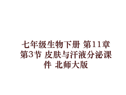 最新七年级生物下册 第11章 第3节 皮肤与汗液分泌课件 北师大版幻灯片课件