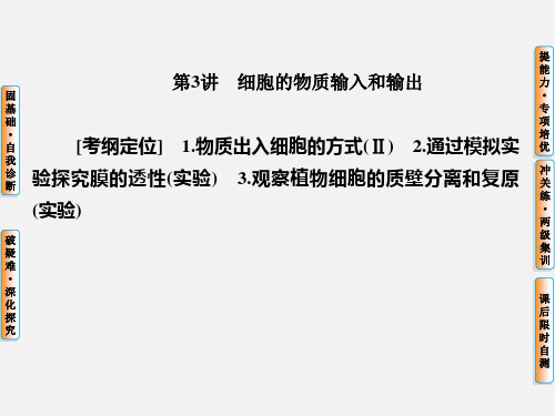 高考生物 一轮复习 第3讲 细胞的物质输入和输出