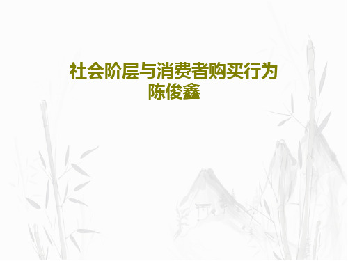 社会阶层与消费者购买行为 陈俊鑫49页PPT