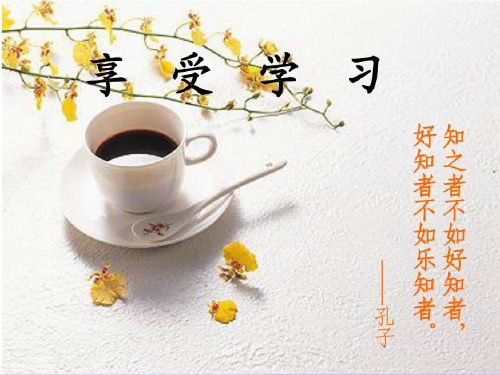 享受学习ppt优秀课件52 人教版PPT课件