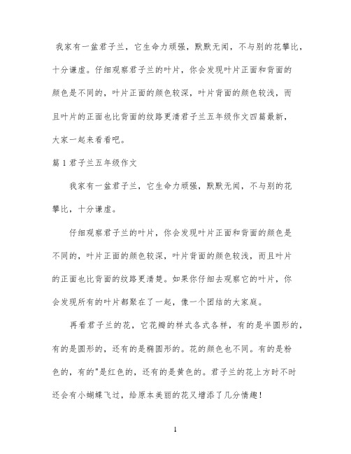 君子兰五年级作文四篇最新