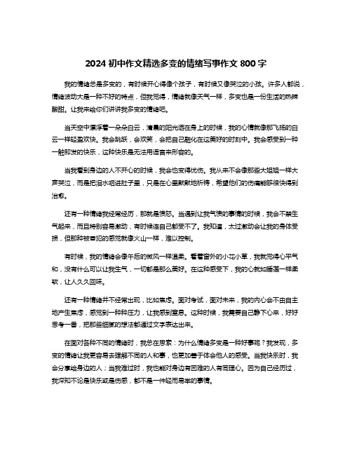 2024初中作文精选多变的情绪写事作文800字