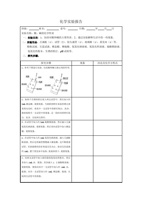 酸、碱的化学性质实验报告单