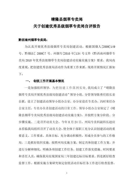自评报告