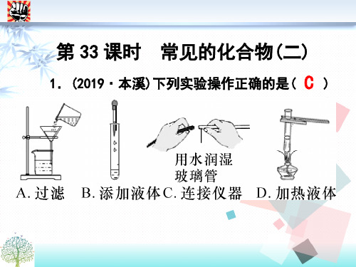 浙江中考科学专题复习提分课时作业课件(共38课时) 第33课时 常见的化合物(2) 