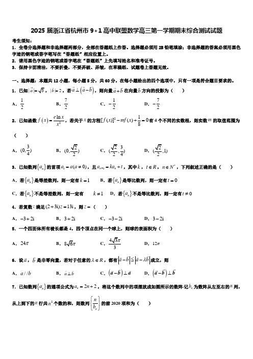 2025届浙江省杭州市9+1高中联盟数学高三第一学期期末综合测试试题含解析