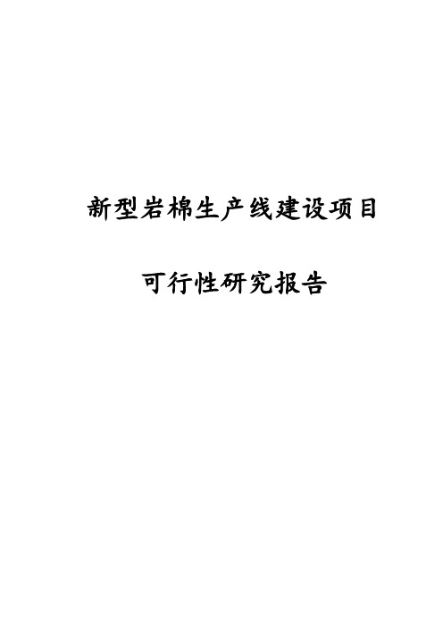 完整版新型岩棉生产线建设项目可行性研究报告