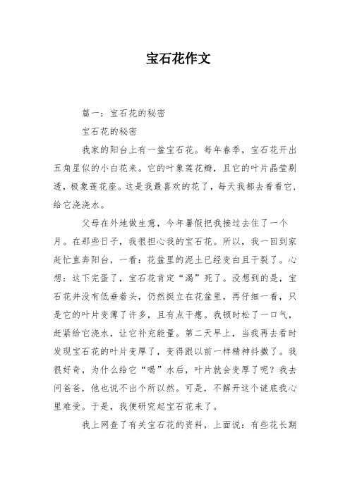 宝石花作文