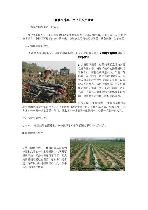 棉花膜下滴灌带