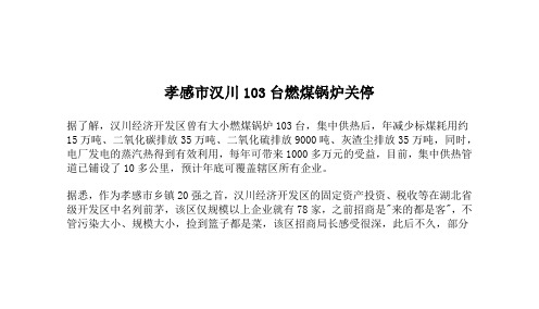 孝感市汉川103台燃煤锅炉关停