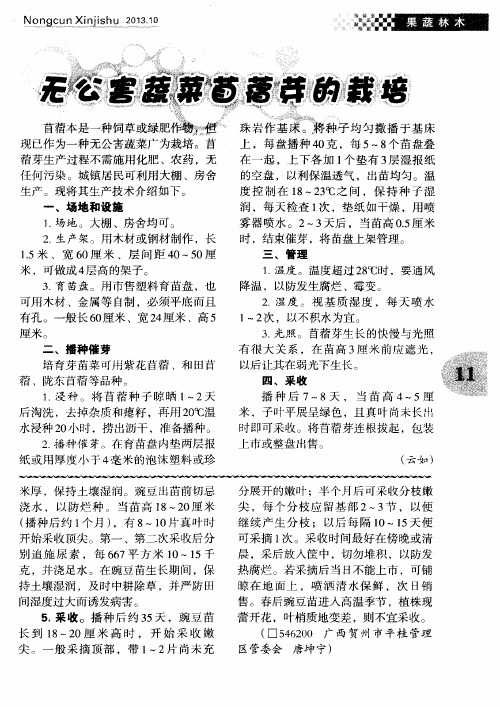 无公害蔬菜苜蓿芽的栽培