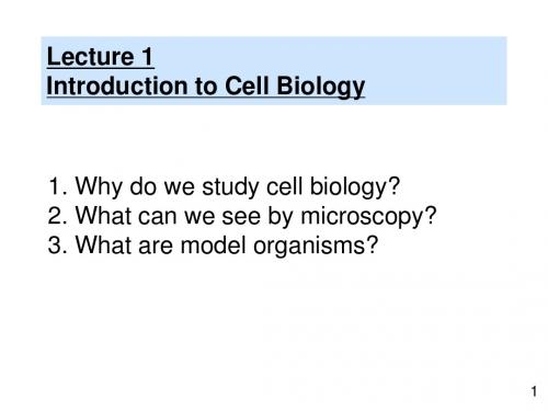 (英文)细胞生物学lecture1-综述