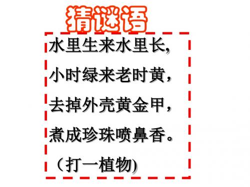 原始农业与农耕聚落PPT课件3 北师大版