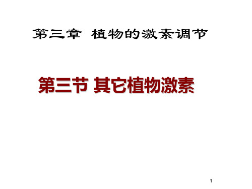 生物必修Ⅲ人教新课标3-3其他植物激素课件(19张)