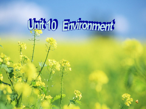 英语基础模块下册unit 10《environment》ppt课件(1)