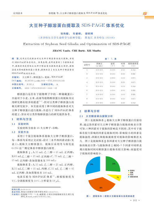 大豆种子醇溶蛋白提取及SDSPAGE体系优化