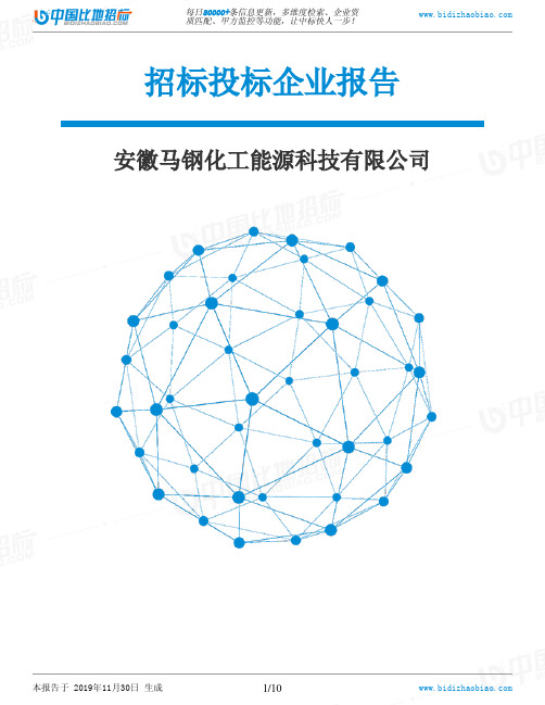 安徽马钢化工能源科技有限公司-招投标数据分析报告