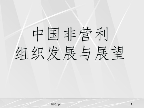 中国非营利组织发展与展望