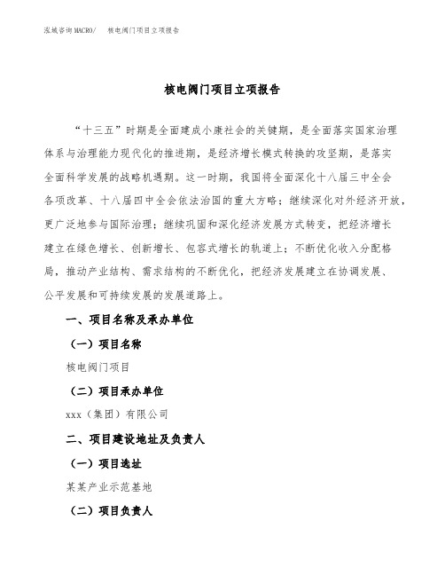 核电阀门项目立项报告