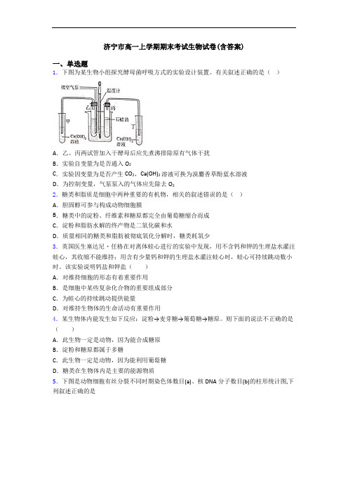 济宁市高一上学期期末考试生物试卷(含答案)