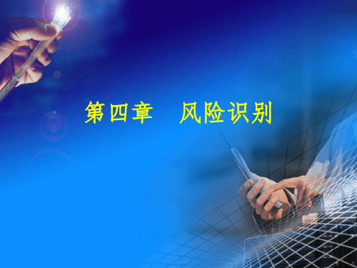 风险识别ppt课件