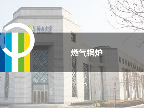 燃气锅炉 (1)