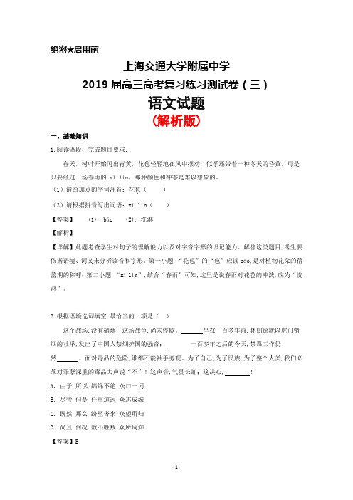 2019届上海交通大学附属中学高三高考复习练习测试卷(三)语文试题(解析版)
