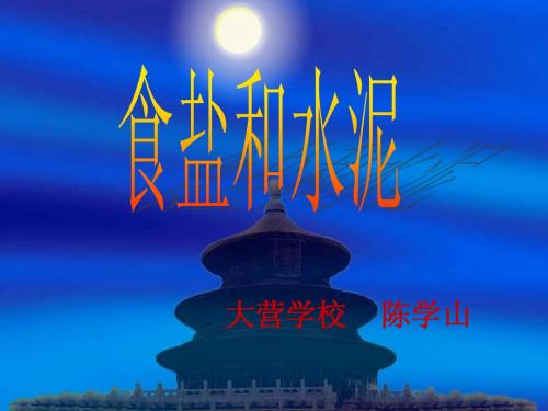 第六课《食盐和水泥》课件