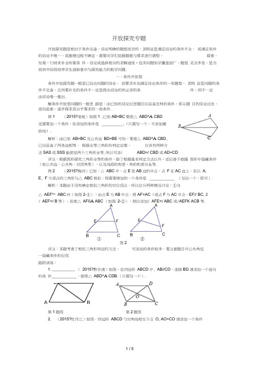 中考数学复习开放探究专题