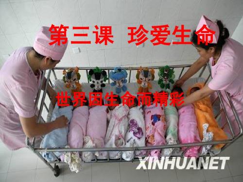 世界因生命而精彩