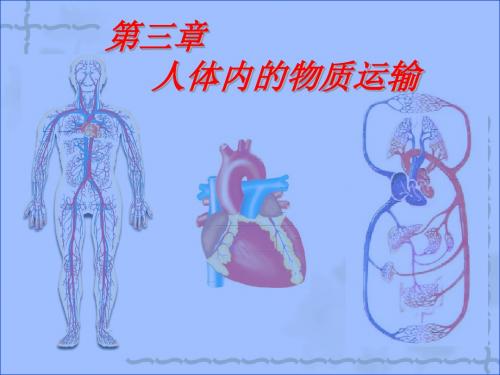 第三单元 第三章 人体内的物质运输 课件(34张PPT)
