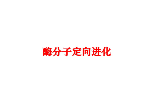 最新酶分子定向进化