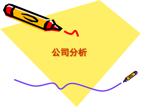 证券投资学公司分析