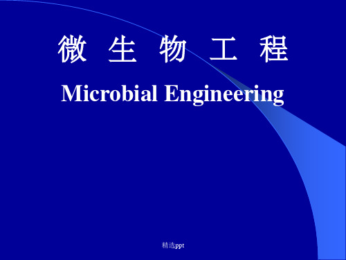 微生物工程  概论