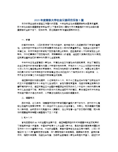 2019年度精彩大学社会实践调查报告5篇