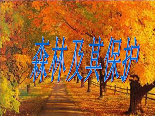 人教版高中地理选修六 第四章 第一节 森林及保护  (共16张PPT)
