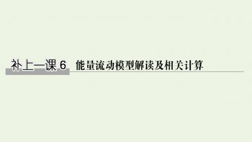 (江苏专用)2020版高考生物总复习补上一课6课件