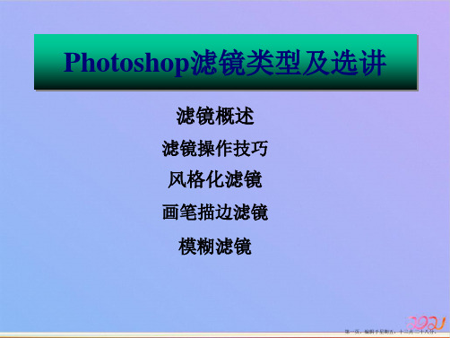 第十讲Photoshop滤镜类型及选讲ppt课件