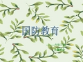 国防知识及国防武器.