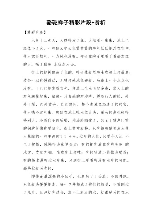 骆驼祥子精彩片段+赏析